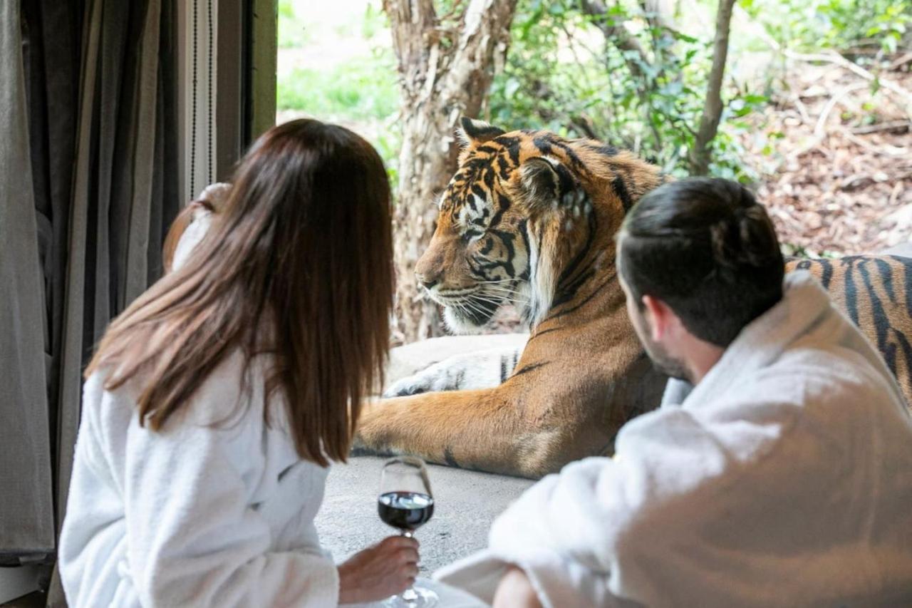 Big Cat Bungalows At The Haven - Lion 2 Canastota Exterior foto
